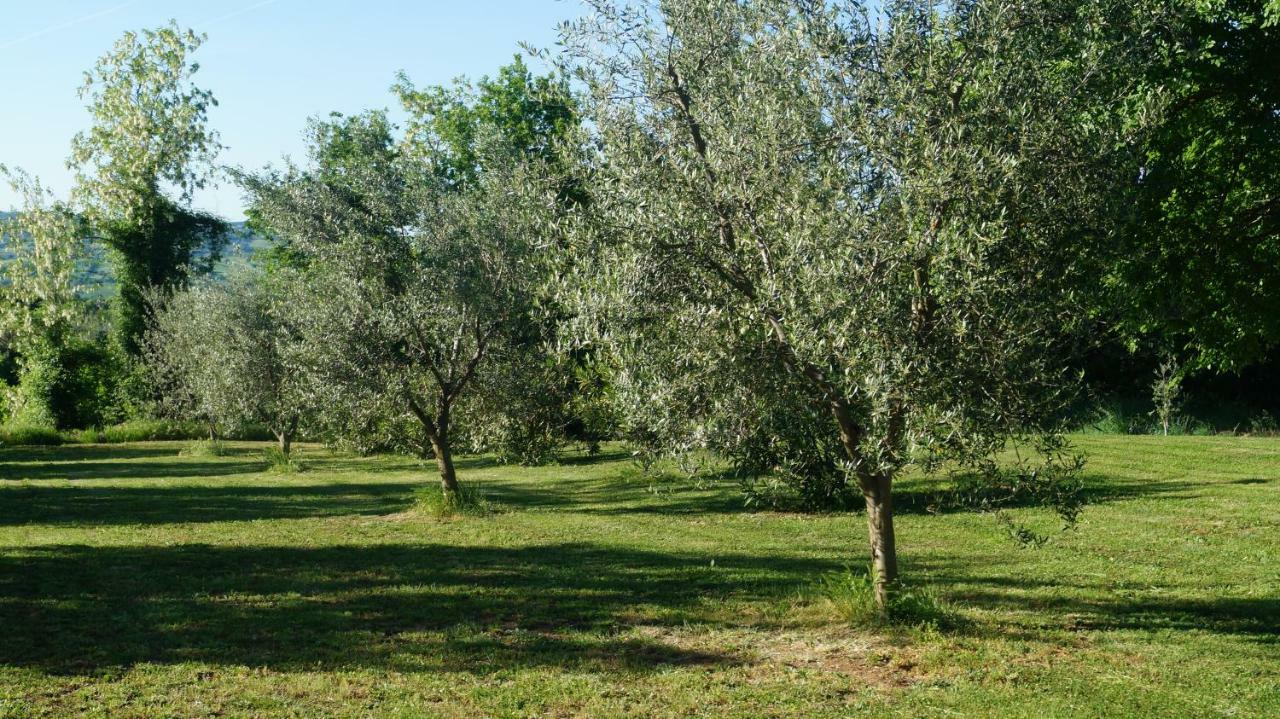 Agriturismo Poggio San Pietro Pitigliano Esterno foto